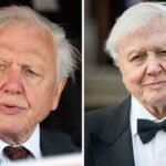 Robert Attenborough: A Closer Look at the Life, Career, and Legacy of a Remarkable Creative Figure