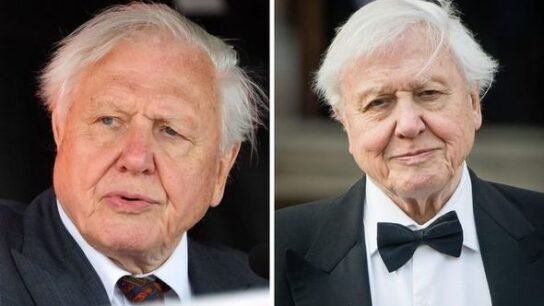 Robert Attenborough