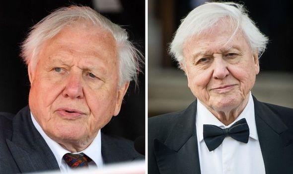 Robert Attenborough: A Closer Look at the Life, Career, and Legacy of a Remarkable Creative Figure