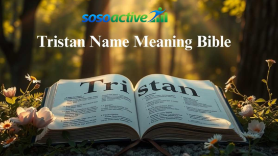 tristan name meaning bible